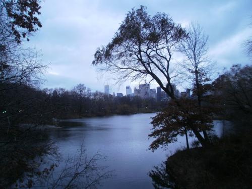 03.JPG