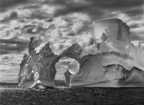 Salgado_Iceberg.jpg