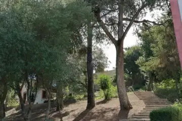 O pouco com que me basto