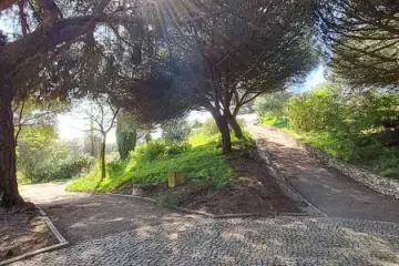 A morte não é um fim é apenas um prosseguir