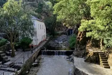 Vida