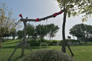 Fogueiras extintas