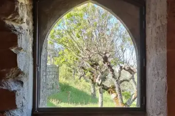 A razão