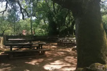 Serenamente
