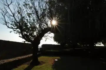 Não! Não sou a única a olhar o céu.