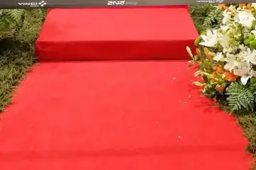 Marco Silva e associados