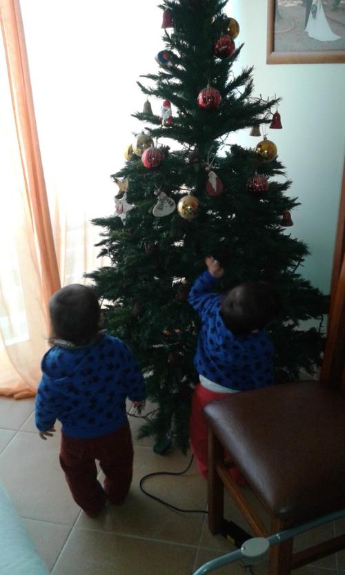 20151220_094611.jpg