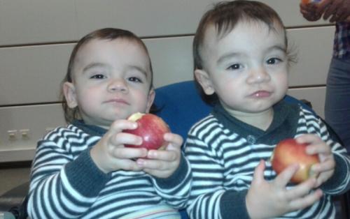 2015-11-25 09.23.59.jpg