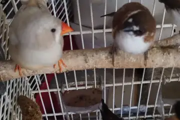 Are you talking to me?