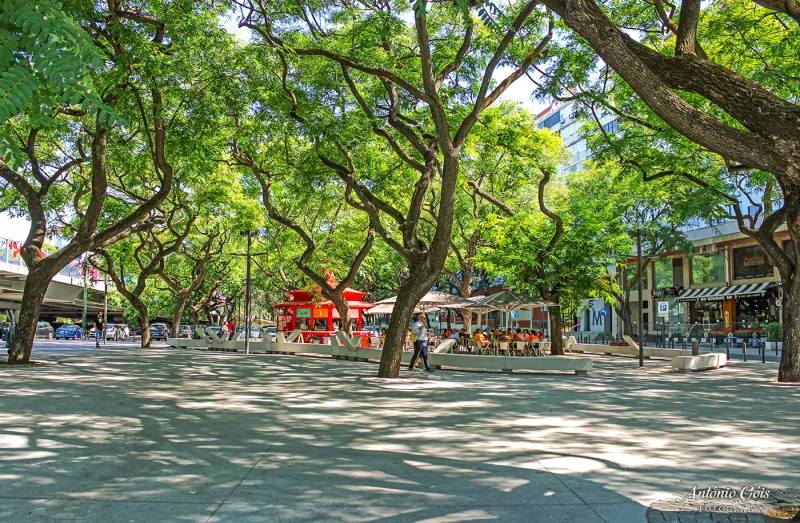 Praça Fonte Nova - Benfica