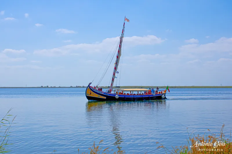 Barco Varino no RioTejo