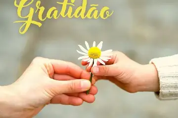 Gratidão