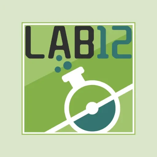 LAB 12