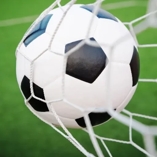 PorDesporto