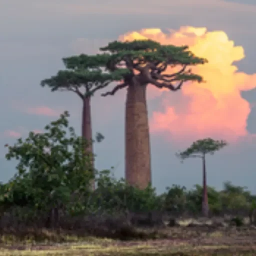 Crónicas de Angola